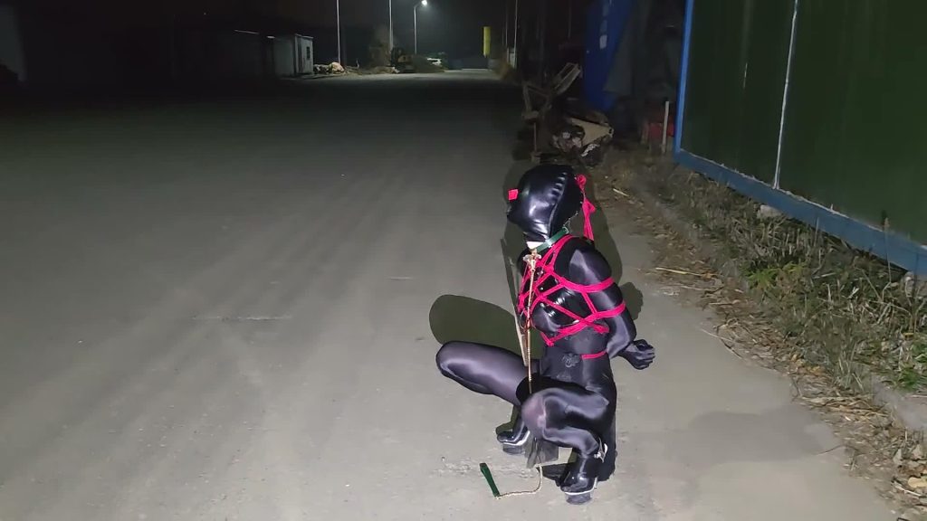 20260224084653545-XFpicture68051