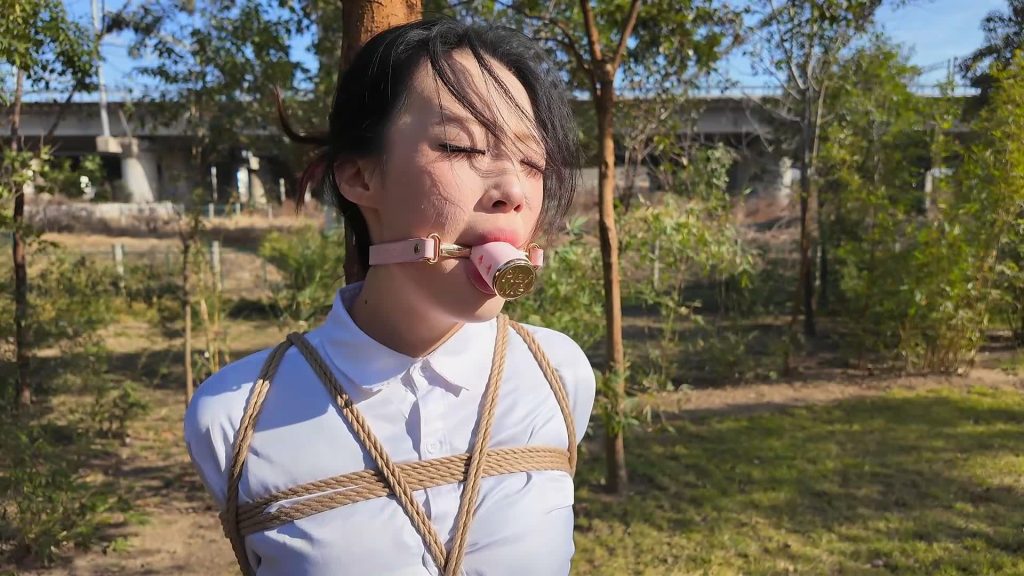 20260224193327921-XFpicture32485