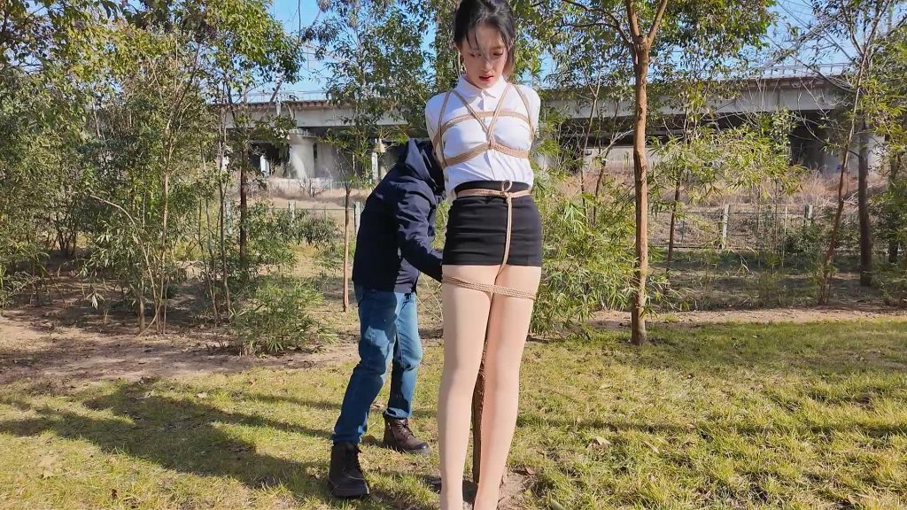 20260224193328535-XFpicture12843