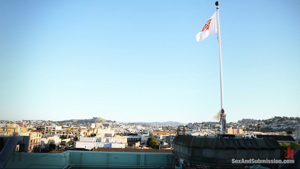 20260225121807302-18