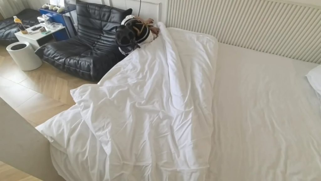 20260225163439460-015407x35z4mp5z94668by