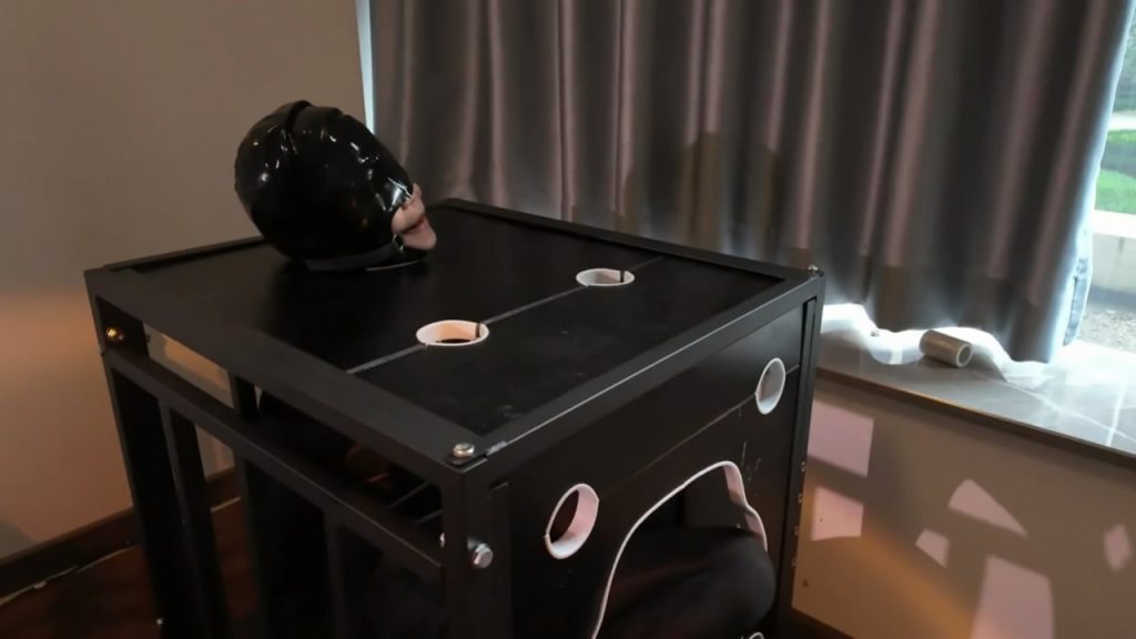 20260225163905816-012604jkuknnnnlonynynb