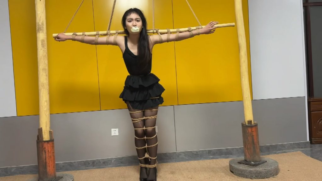 20260226080821418-233541zhzzpmeyngtgmgmd