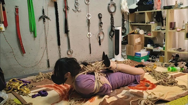 江山 车模小美第二缚！-逍遥自在