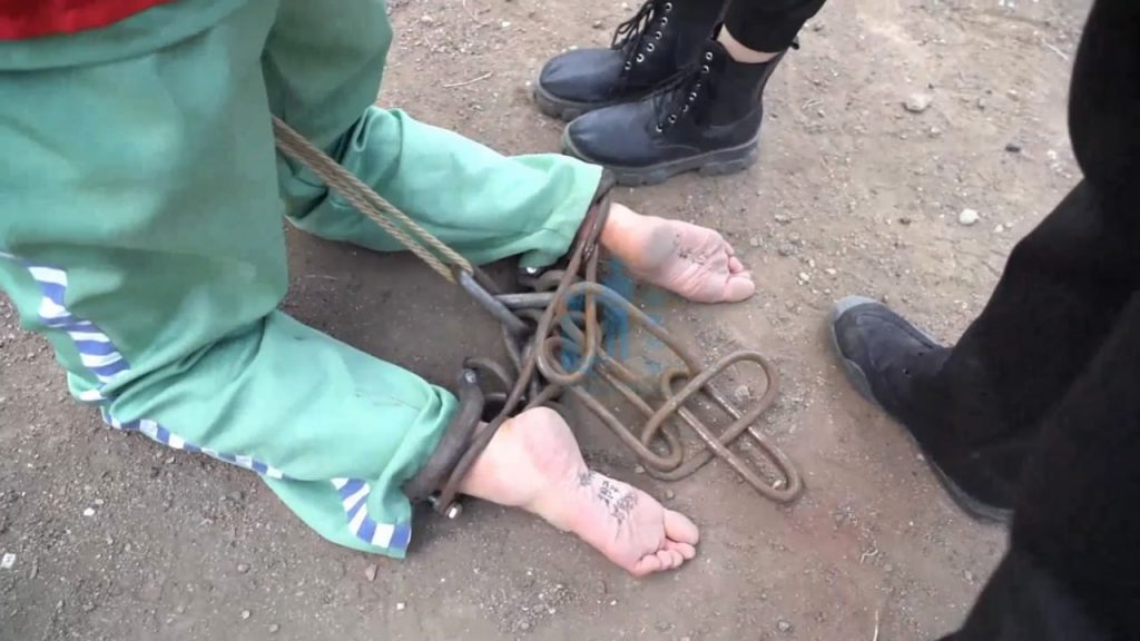 20260227112307784-105055jfkonobn3gpabvv3