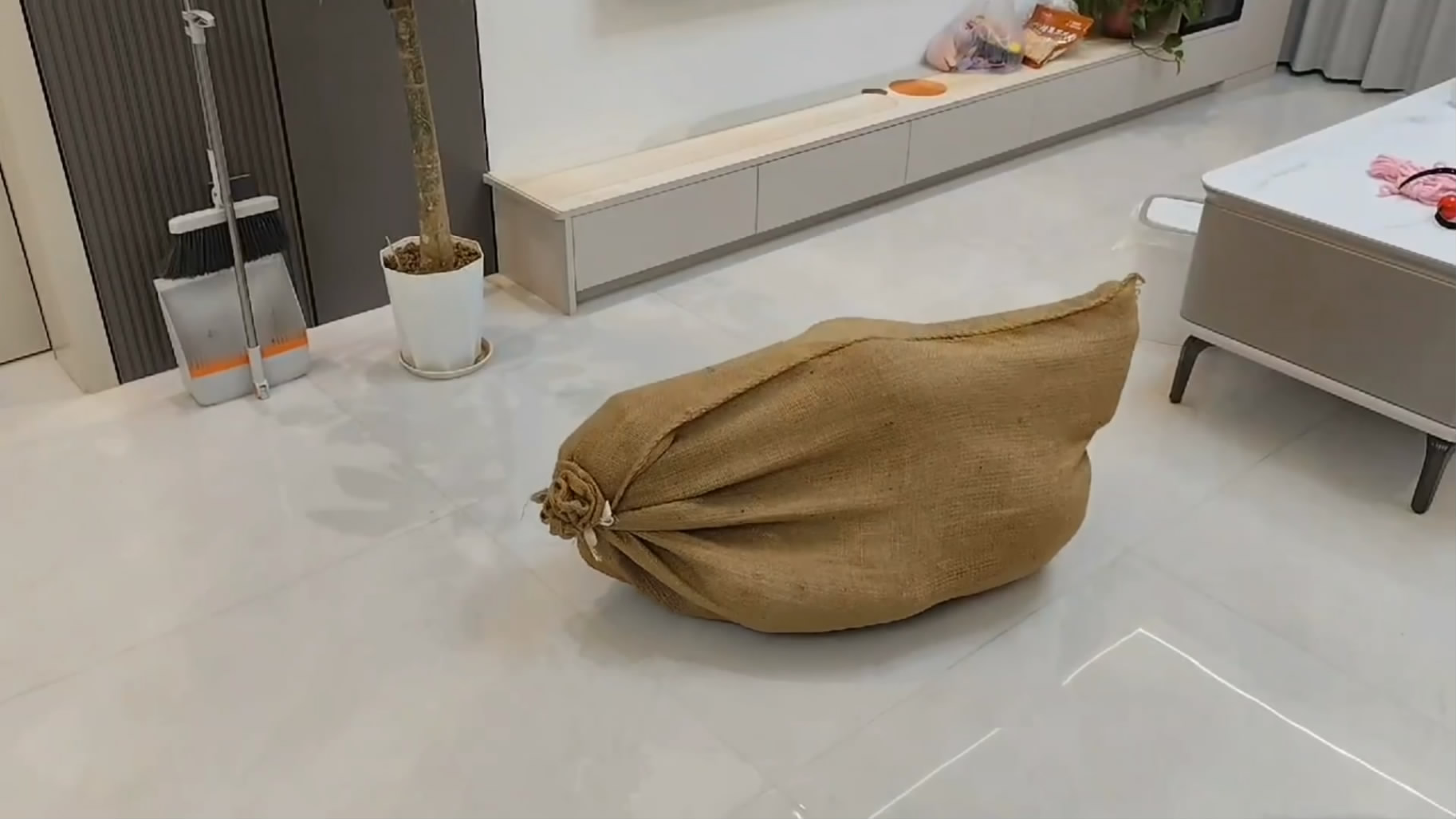 013748qf8m3tga3e6a8g4g