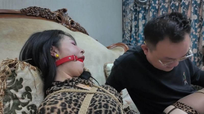 枫叶工作室 彩虹与黑猫·黑猫小分队·莫璃单刀赴会内鬼现-逍遥自在