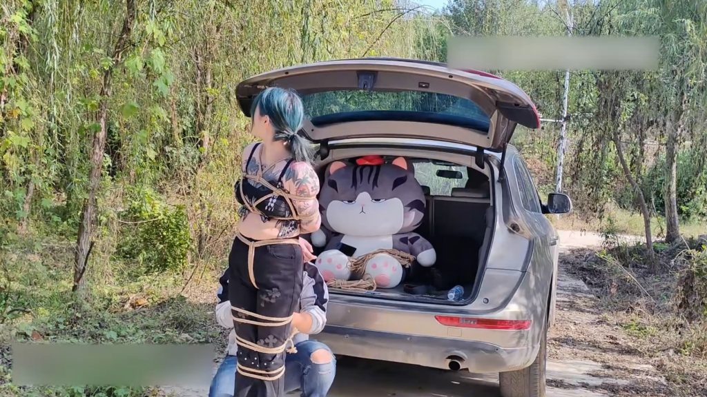 020044tr8gbx6o8k81ul6c