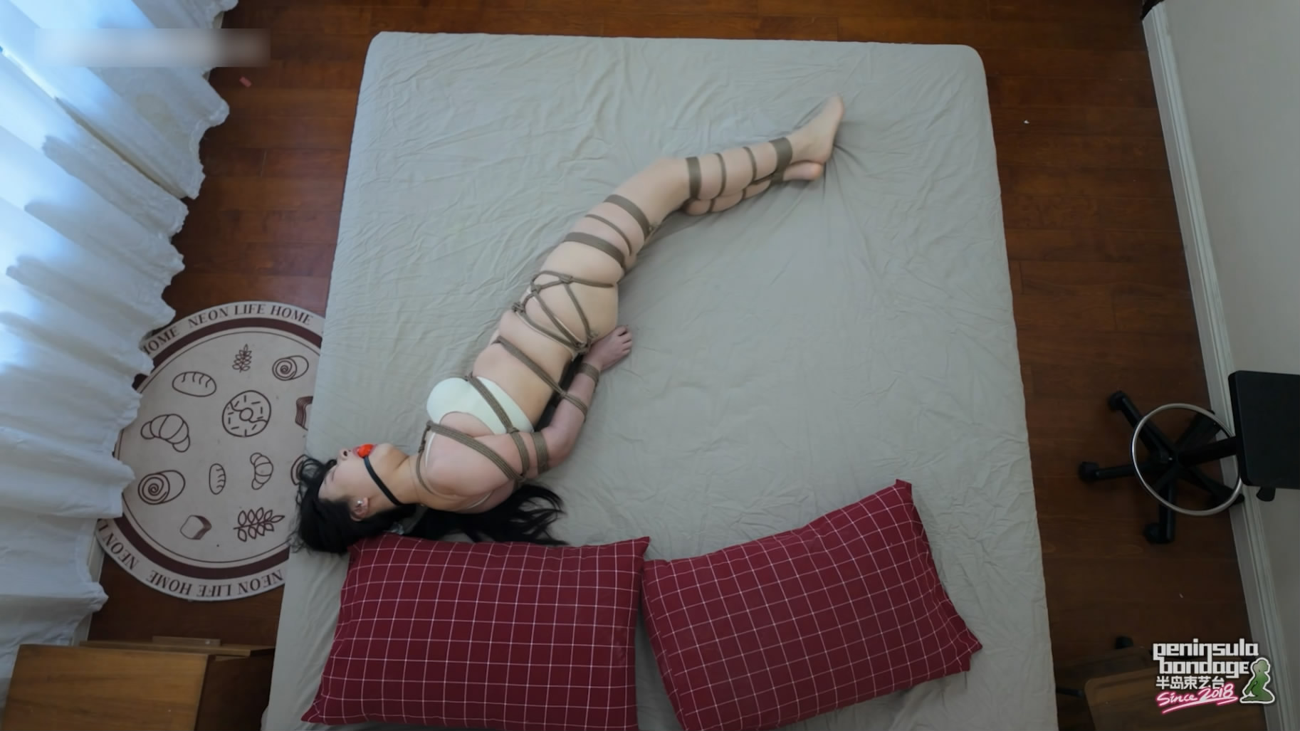 022937expx33swuhz43jxy