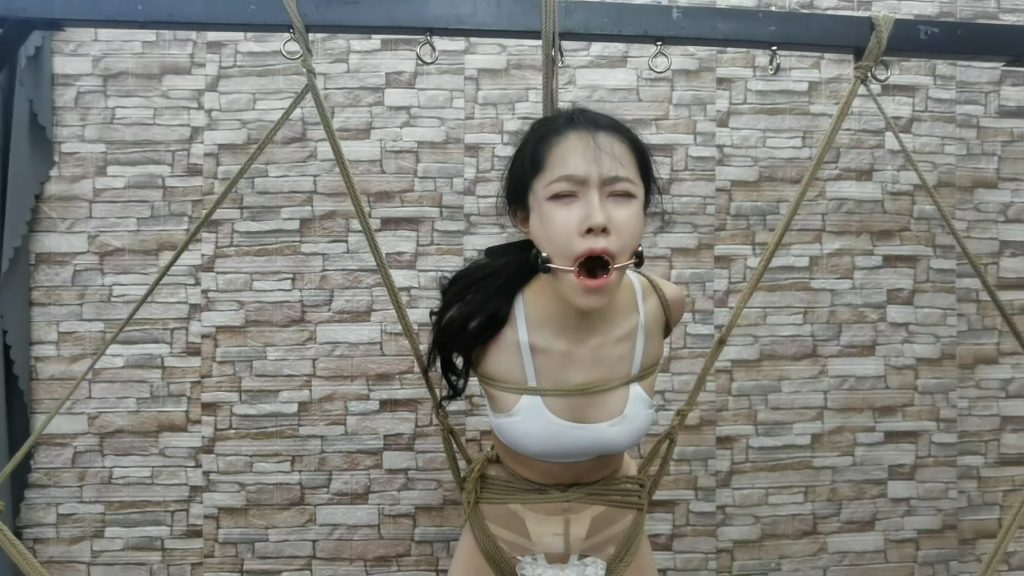 033038p94prys9sxryebxb