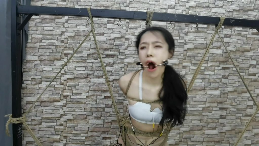 033039rmv437l3lmk997ql