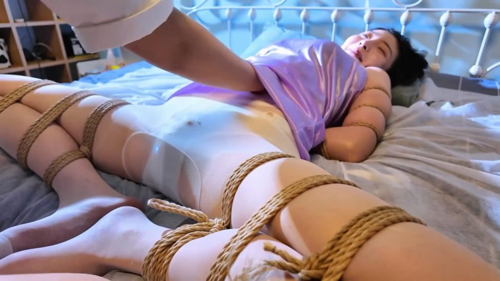 033701b6pz36w095s3oe9t