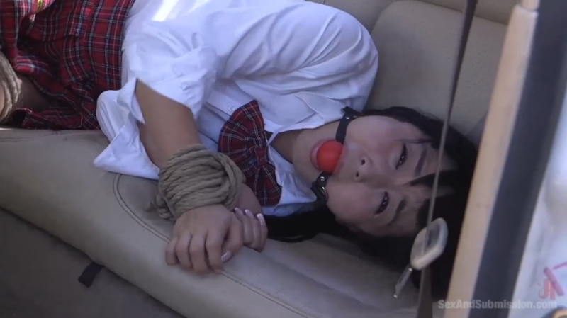 【欧美绳艺】制服日本女孩长谷真理香绑架小屋凌辱折磨-逍遥自在