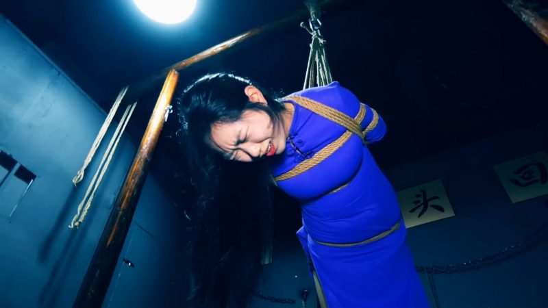 胜景影视 春雷行动 上集 叛徒张兴因忍受不了酷刑投靠女特务抓捕藏有密码本的妻子-逍遥自在