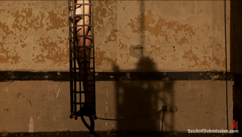 20260301163455275-10