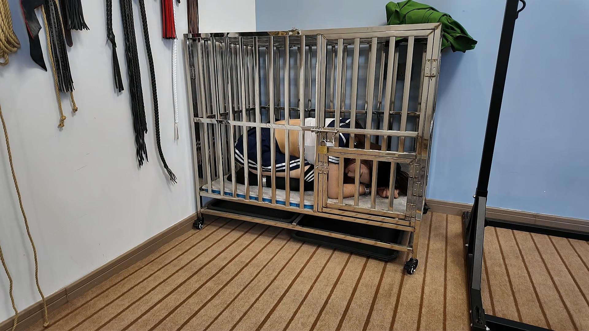 李大侠原创 学生晓琴日常调叫-逍遥自在