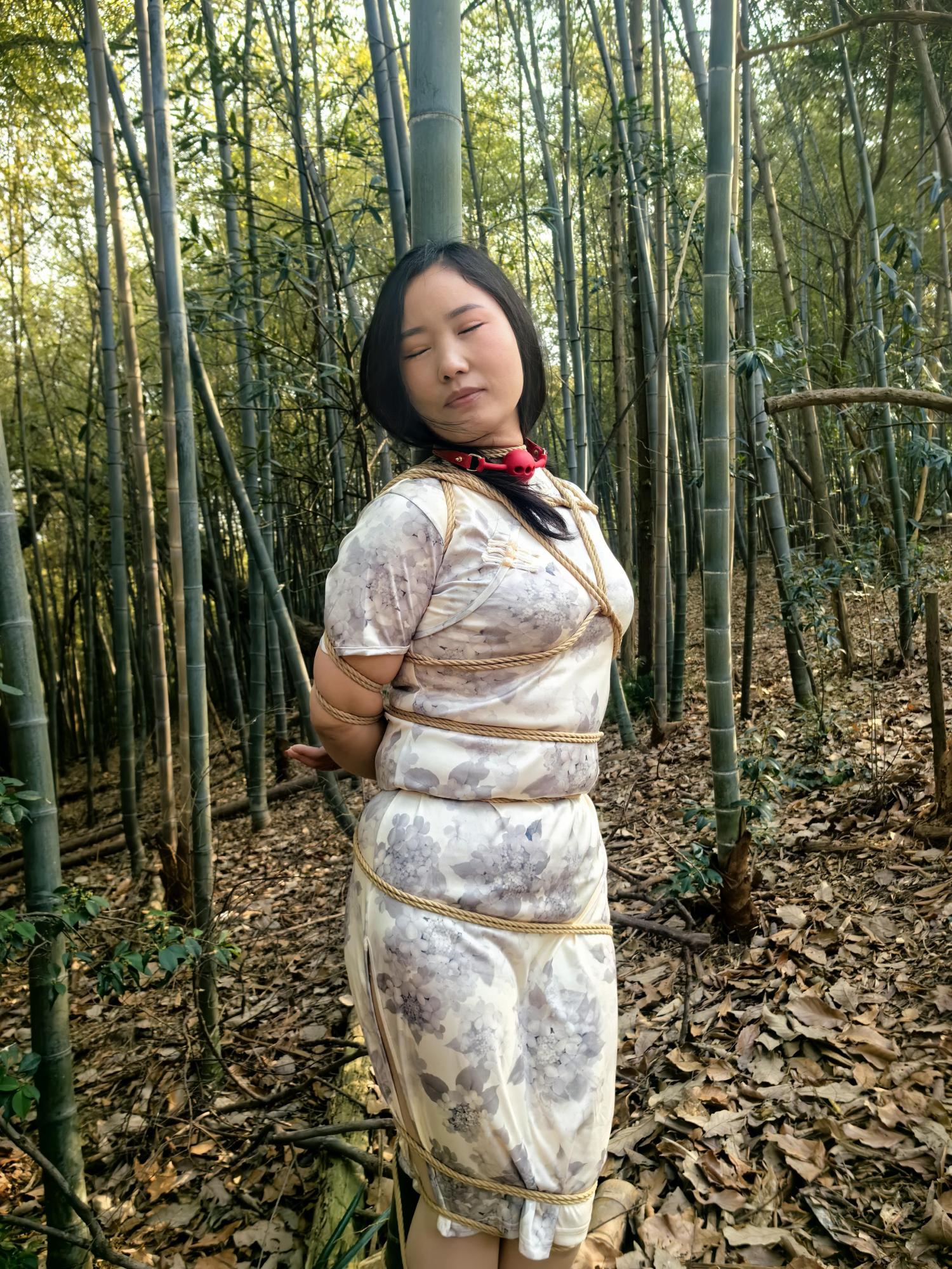 忧郁的笨鸟 小朵的户外小树林上部-逍遥自在