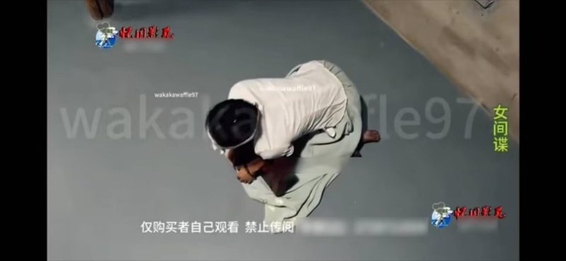 怀旧影苑【女间谍】-逍遥自在