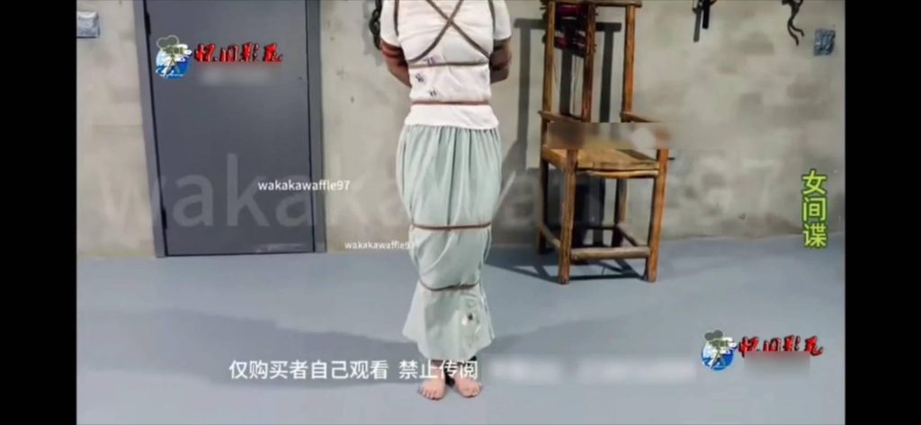 20260312_222315_15499