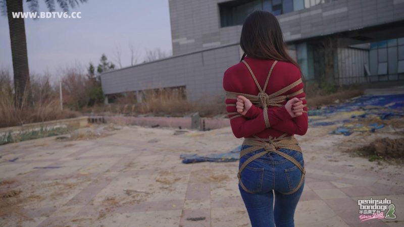 【半岛束艺台】【星眠】YT3125 冬天的椰子树-逍遥自在