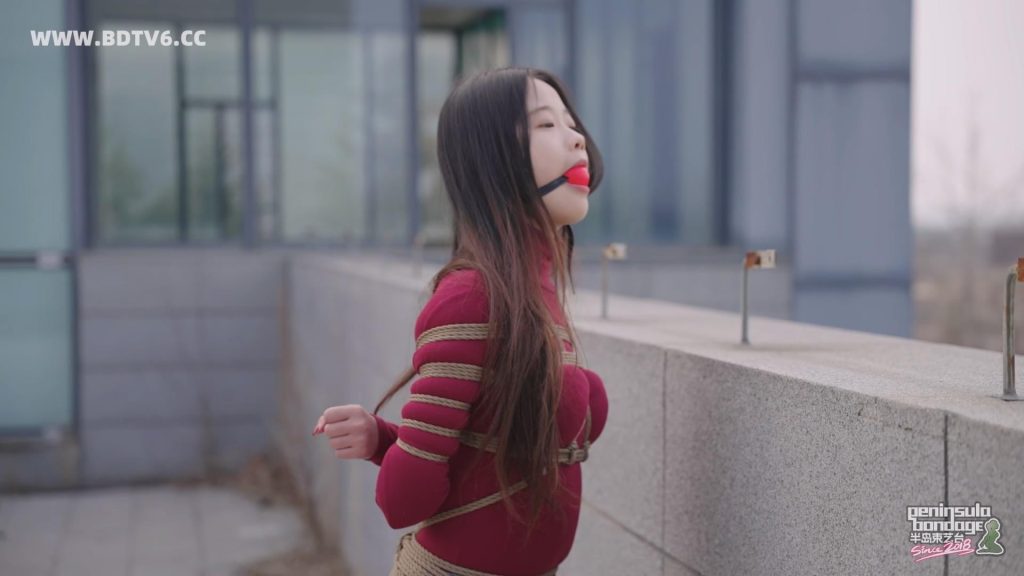 20260315_023156_16917