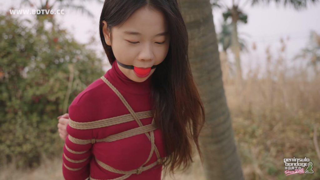 20260315_023207_16319