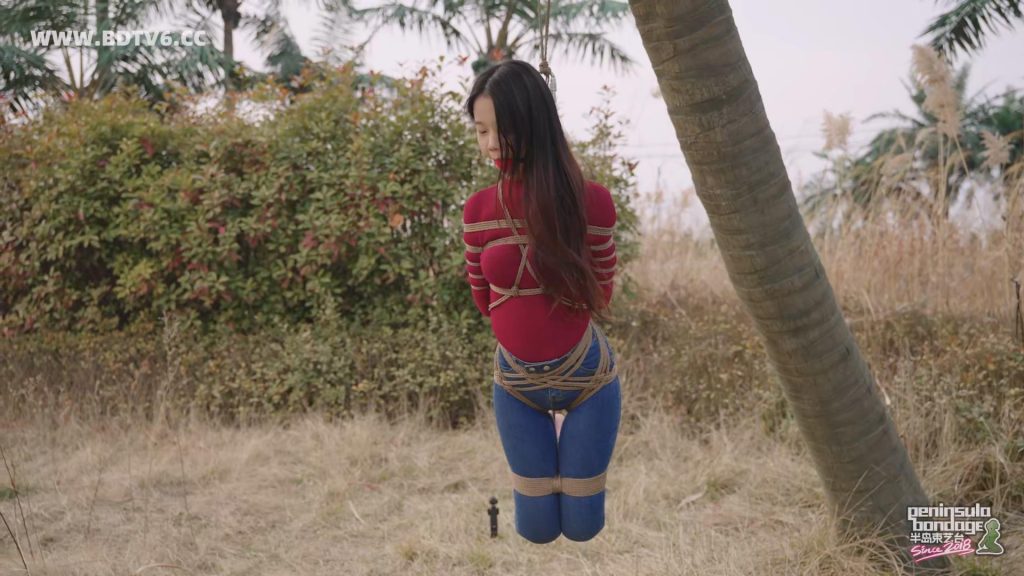 20260315_023208_12339