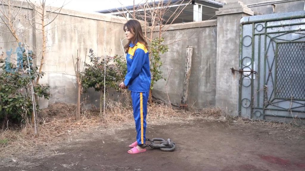 20260327_061110_10545