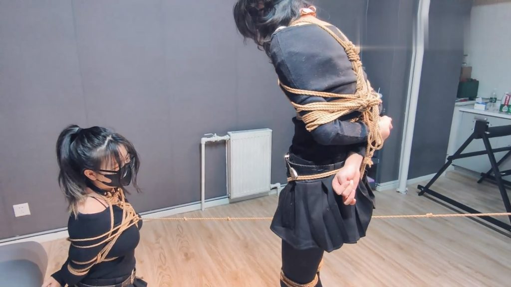 204240ycorn1zve66cecex