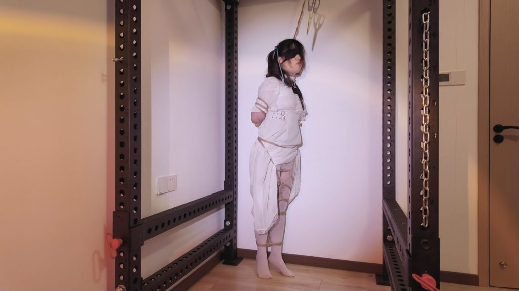 223412l18zxym981o1eelf