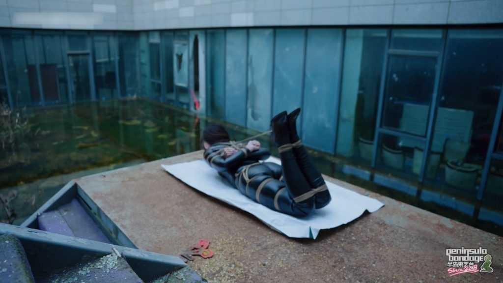 230206v47b6rvsvcr1781w