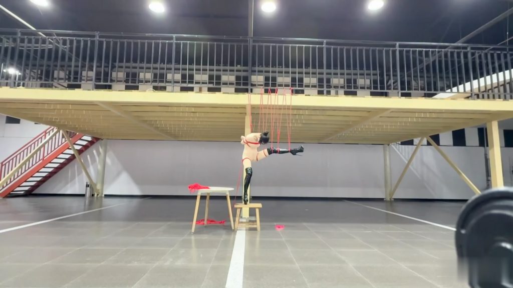 232826t66nc8an85vkkzkb