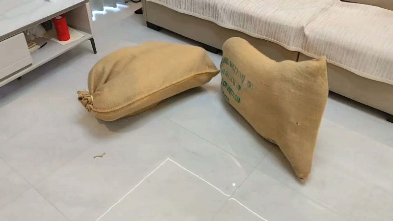 岁月如歌 二女体验麻袋装人(第2部)-逍遥自在