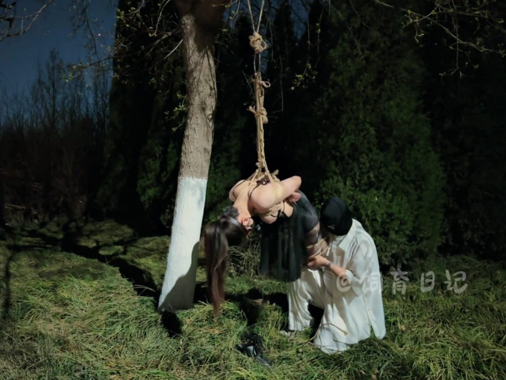 034720yv6v0pd66z6ds00p