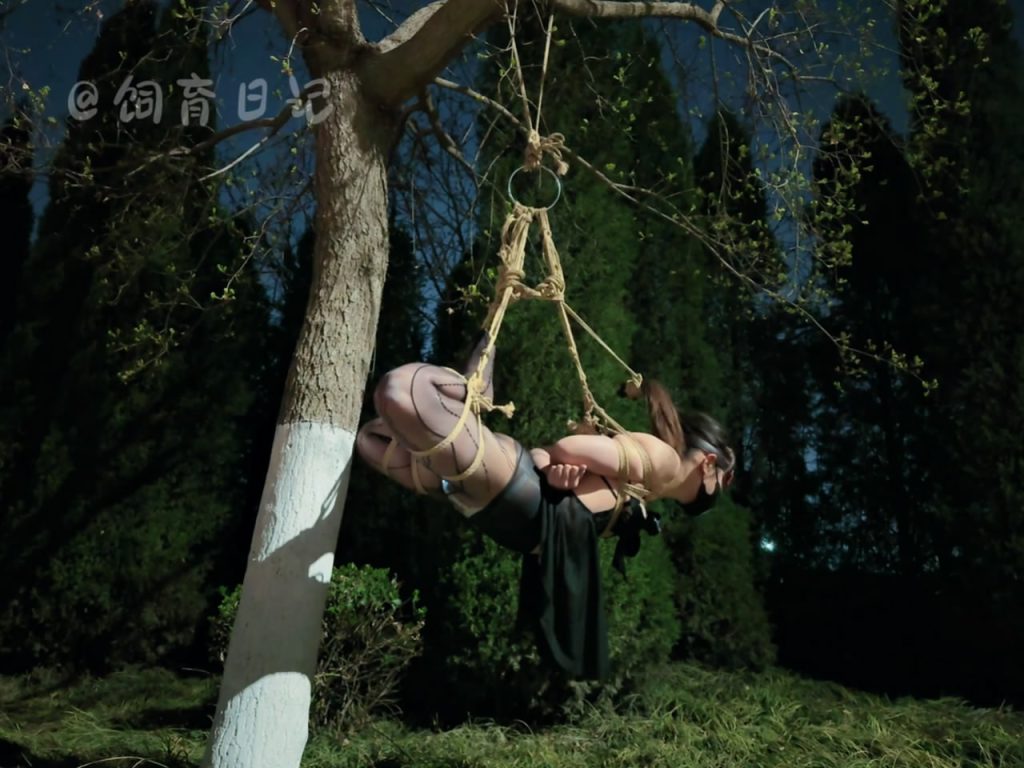 034721s6zxectcc66lt6e6