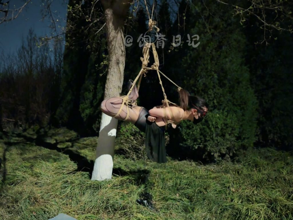 034721zh3a44xh2x4sy4c3