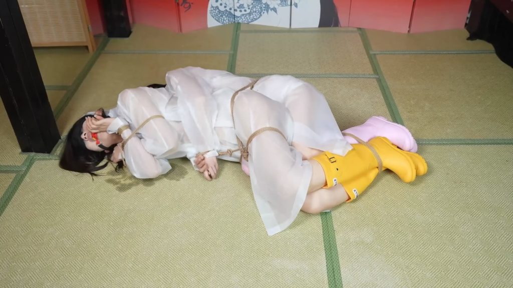 145248dl3zkplp11y9110y