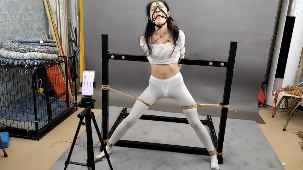 151219be4540k3z3wr54rk