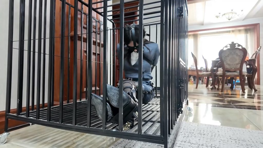 163757o93rvevzwbfbsrfs