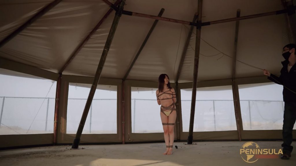 172449m8m66p8qs2b55jq4