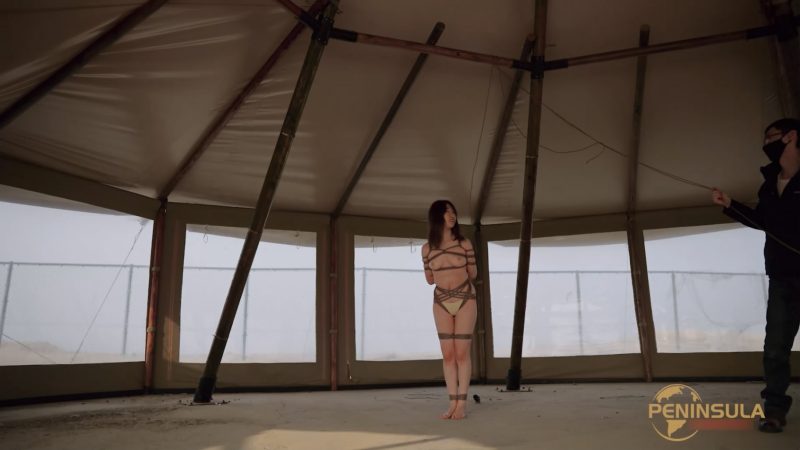 【半岛束艺台】【泠鸢】YT3138 晴天娃娃-逍遥自在