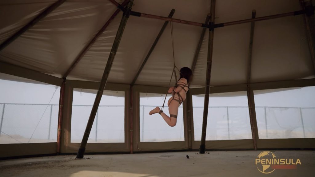 172449qxvnwh0k99bb0orh