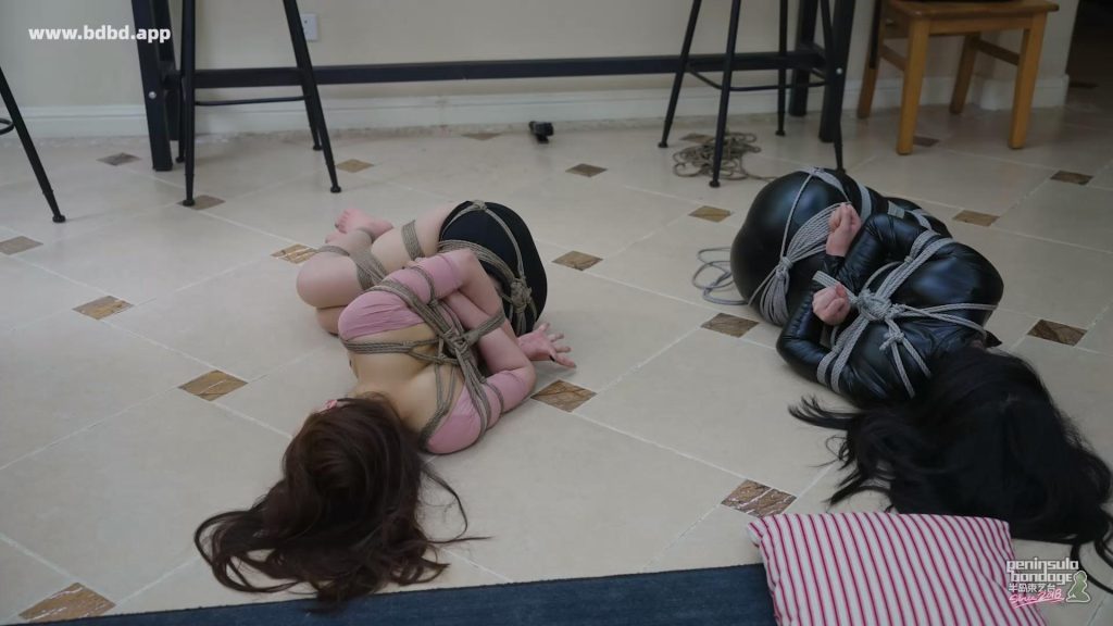 20260404_062752_10776