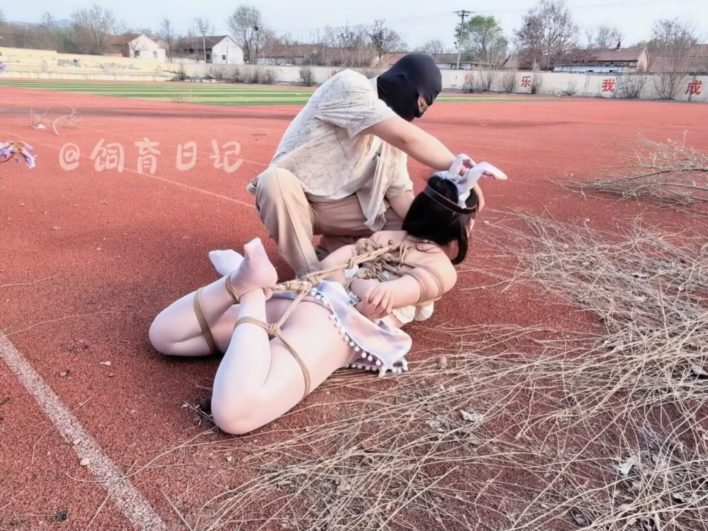 20260421070549683-023017z033dmz3sd737rrr