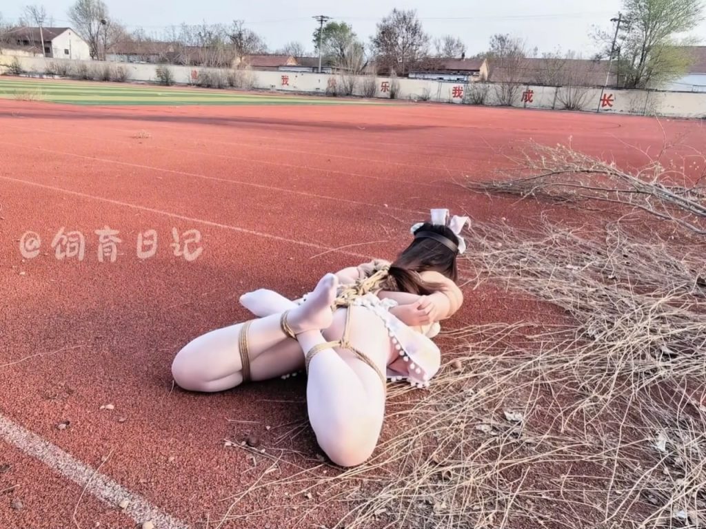 20260421070550310-023017yi6ezthxtq5eeexc