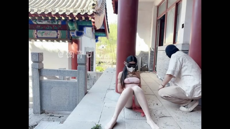 「小狗の饲育日记」闹市古巷，车水马龙的大殿之旁，一只小狗正在被折磨-逍遥自在