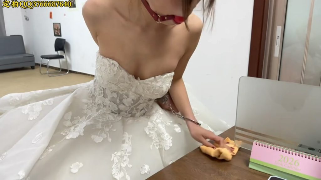《金宝工作室》LuLu 雪糕 七七 奶贝 兮兮 只只-逍遥自在