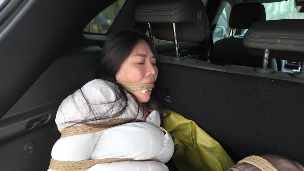 20260426091001775-031013ecdm53mmmdz3pppp