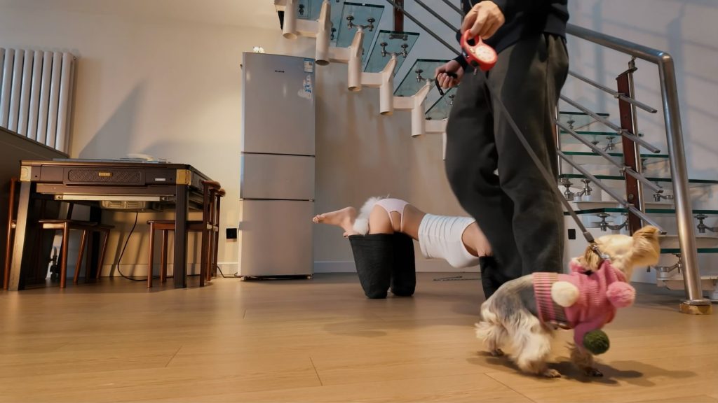 20260428071348471-014414y467q0cf09q0cq23