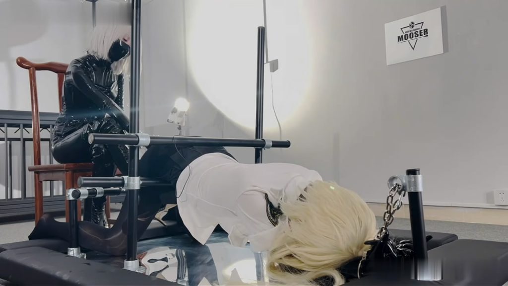 234311qxkumn2ffetmgkix